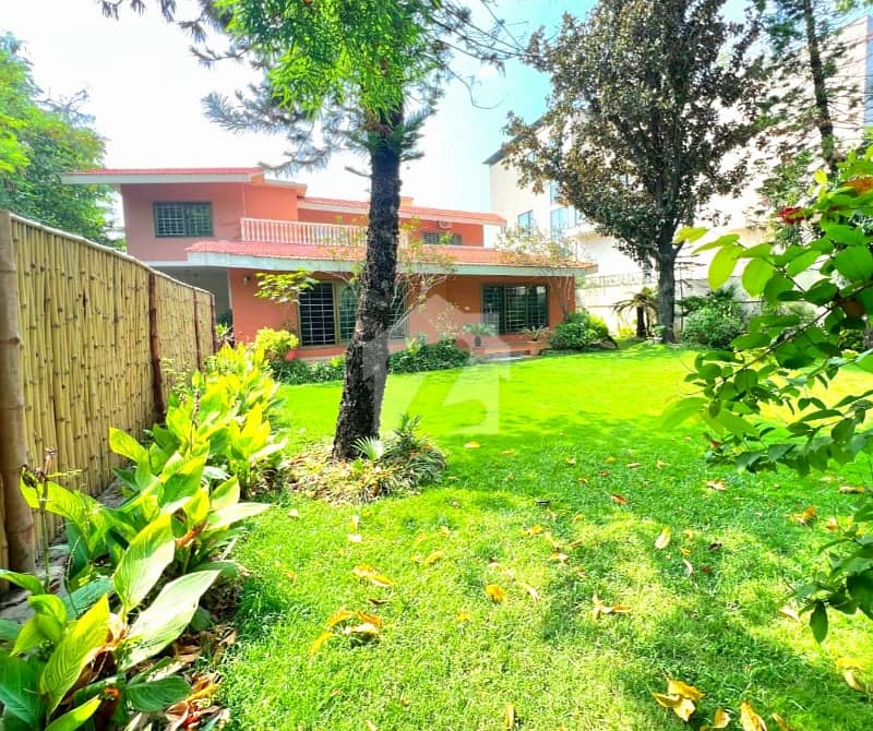 Beautiful 2 Kanal House — 4 Bed, Big Lawn — photo 2