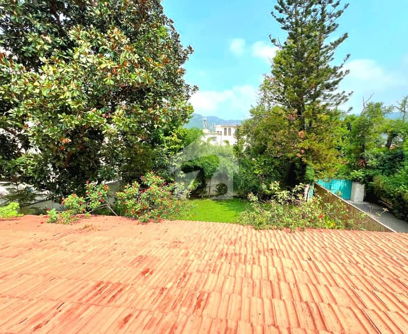 Beautiful 2 Kanal House — 4 Bed, Big Lawn — photo 3